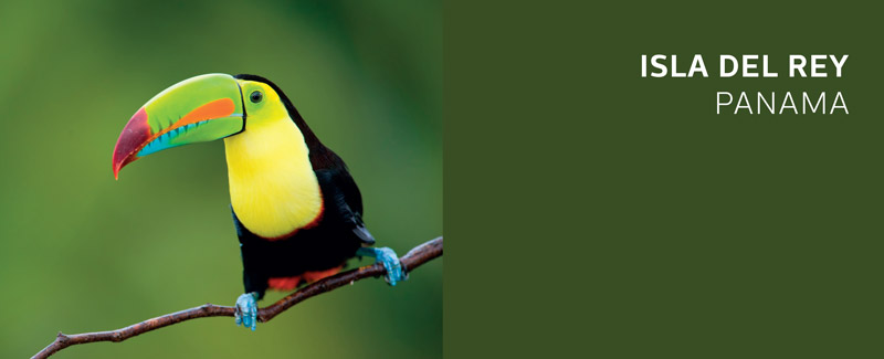 Panama_800