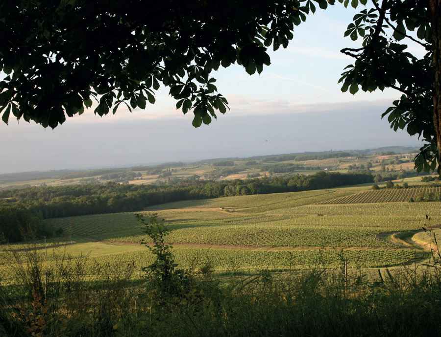 DomaineDePauliac3